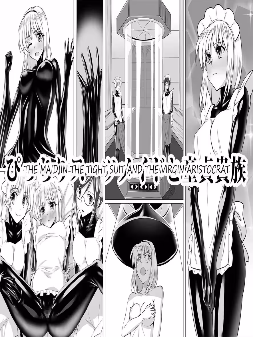 The Aristocrat’s Servant Secrets