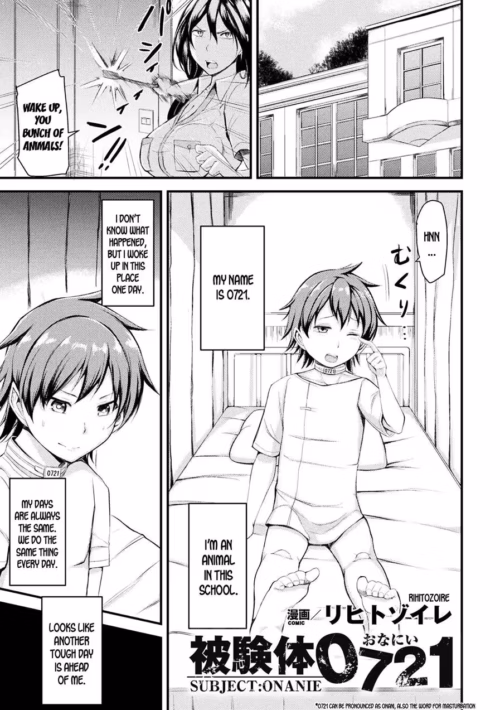 Harem Hentai